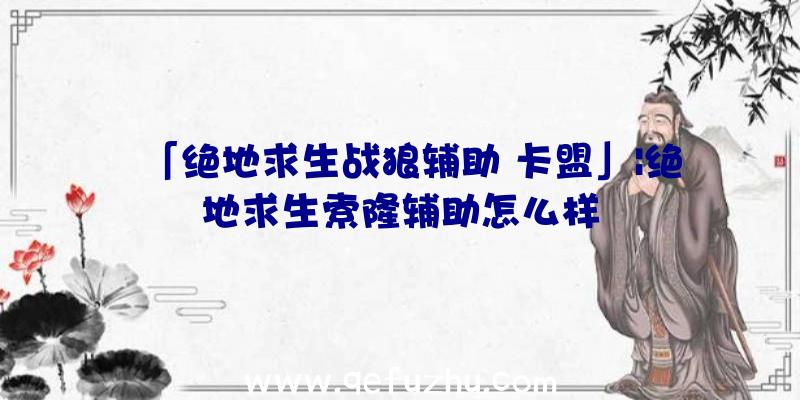 「绝地求生战狼辅助